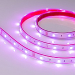 Лента светодиодная Arlight RTW герметичная 028711 250_100_Array