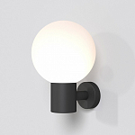 Светильник на штанге Maytoni Outdoor Bold O598WL-01B 250_100_2815978