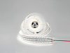 Лента светодиодная DesignLed DSG2420 00-00003247 100_100_2440637