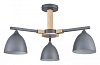 Люстра на штанге Lumion Colange 8096/3C 100_100_2423647