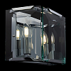 Настенный светильник (бра) Maytoni MOD202WL-02N 100_100_2206850