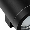 Накладной светильник Lightstar Paro 351617 100_100_1714314