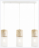 Подвесной светильник Ambrella Light TR TR8499 100_100_2453562