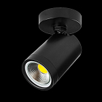 Светильник на штанге Lightstar Rullo 213407 250_100_1722792