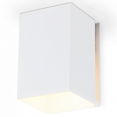 Накладной светильник Ambrella Light TN TN5111 400_400_2442333