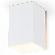 Накладной светильник Ambrella Light TN TN5111 500_191_2442333