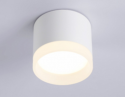 Накладной светильник Ambrella Light TN TN5365 400_400_2026236
