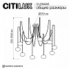 Подвесная люстра Citilux Atman Smart CL226A093 100_100_1694355