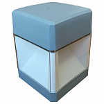 Накладной светильник Fumagalli Elisa DS2.560.000.LXD1L 250_100_1801056