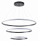 Подвесной светильник Zortes Ringolight ZRS.33320.120C