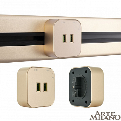 Розетка 2xUSB на треке Arte Milano Am-track-sockets 380022TS/USBx2 Gold 400_400_2165145