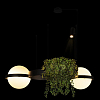 Подвесной светильник Loft it Jardin 10121/2 100_100_1852959