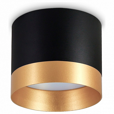 Накладной светильник Ambrella Light TN TN5317 400_400_2442356