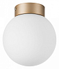Накладной светильник Lightstar Globo 812013 100_100_3155798