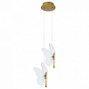 Подвесной светильник Arte Lamp Darcy A2187SP-2GO 100_100_2454725