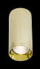 Потолочный светильник Technical C010CL-01G 100_100_3149951