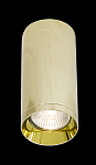 Потолочный светильник Technical C010CL-01G 250_100_3149951