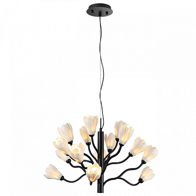 Подвесная люстра Odeon Light Gardi 5090/15 400_400_1731200