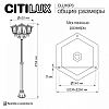 Фонарный столб Citilux FORTS CLU10P3 100_100_1695469