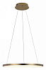 Подвесной светильник Loft it Ring 10014M 100_100_1845733