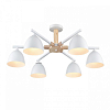 Люстра на штанге Lumion Colange 8095/6C 100_100_1864933