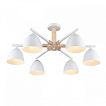 Люстра на штанге Lumion Colange 8095/6C 250_100_1864933