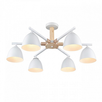 Люстра на штанге Lumion Colange 8095/6C 400_400_1864933