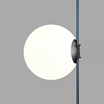 Накладной светильник Denkirs Belty Orb DK5554-BK 250_100_1915591