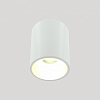 Накладной светильник LIGHTERA Shamrock LE200CL-1W 100_100_2049176