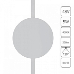 Накладной светильник Arte Lamp Rapid A6163PL-1WH 250_100_1485292