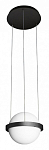 Подвесной светильник Loft it Jardin 10121/A 250_100_1848016