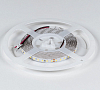 Лента светодиодная DesignLed DSG2120 00-00004500 100_100_2440611