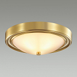 Накладной светильник Lumion Nina 5259/2C 250_100_1863233