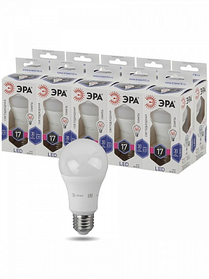 Лампа светодиодная Эра Стандарт E27 17Вт 6000K LED A60-17W-860-E27 400_400_2473930