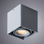 Накладной светильник Arte Lamp Pictor A5654PL-1GY 250_100_2628618