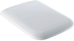 571910000 iCon Square Сиденье для унитаза (soft-close) 250_100_Array