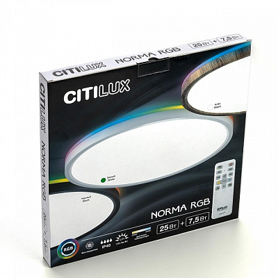 Накладной светильник Citilux Norma CL749320 400_400_3148700