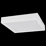 Накладной светильник Citilux Галс CL55K22N 250_100_3147879