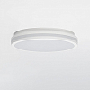 Накладной светильник Citilux LUNS CL711020V 100_100_1692384