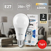 Лампа светодиодная Эра Стандарт E27 25Вт 4000K LED A65-25W-840-E27 100_100_2474261