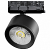 Светильник на штанге Lightstar Alta Pro A5537QT 100_100_3238902