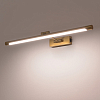 Подсветка для картины Lightstar Noce 201041 100_100_3085795