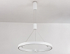 Подвесной светильник Ambrella Light FL FL5844 100_100_2016326