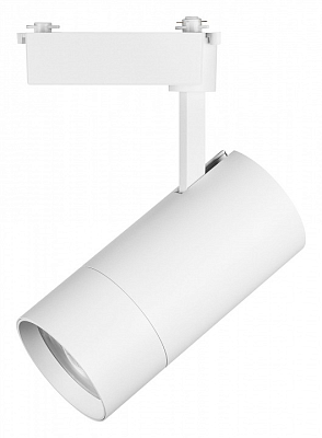Светильник на штанге Lightstar Volta 229446 400_400_1715407