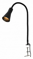 Настольная лампа Lussole LSP-0716 500_191_2316751