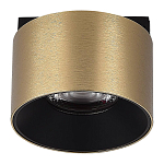 ST669.346.05 Магнитный трековый светильник Латунь LED 1*5W 4000K 350Lm Ra>90 36° IP20 D60xH43 24V СУПЕР5 250_100_2956123
