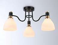 Потолочная люстра Ambrella Light TR TR303303 250_100_2016961