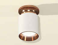 Накладной светильник Ambrella Light XS XS6301201 250_100_2007615