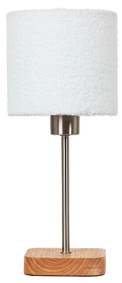 Настольная лампа декоративная Arte Lamp CHARLIE A5071LT-1SS 400_400_3072145