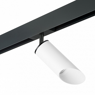 Светильник на штанге Lightstar Rullo PRO43636 400_400_2471112